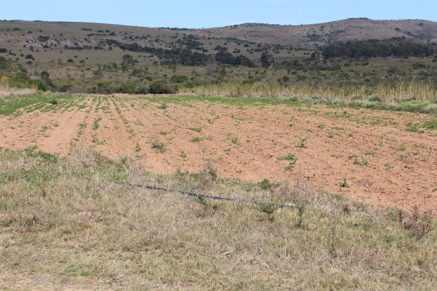 4 Bedroom Property for Sale in Bathurst Rural Eastern Cape